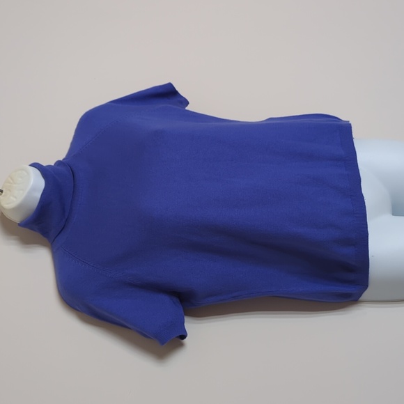 Petite Sophisticate Periwinkle Short Sleeve Turtleneck Blouse LARGE Silk Blend - Picture 2 of 10